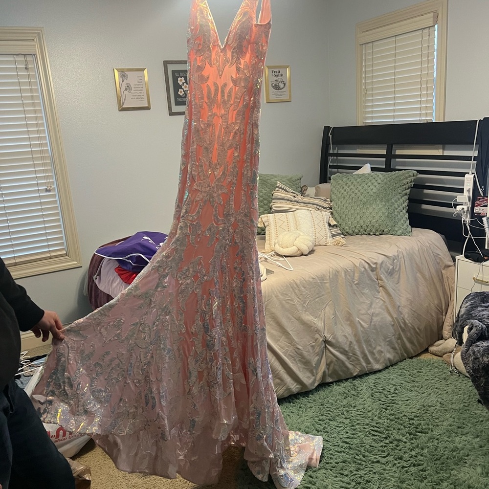 Elegant Pink and Silver Gown